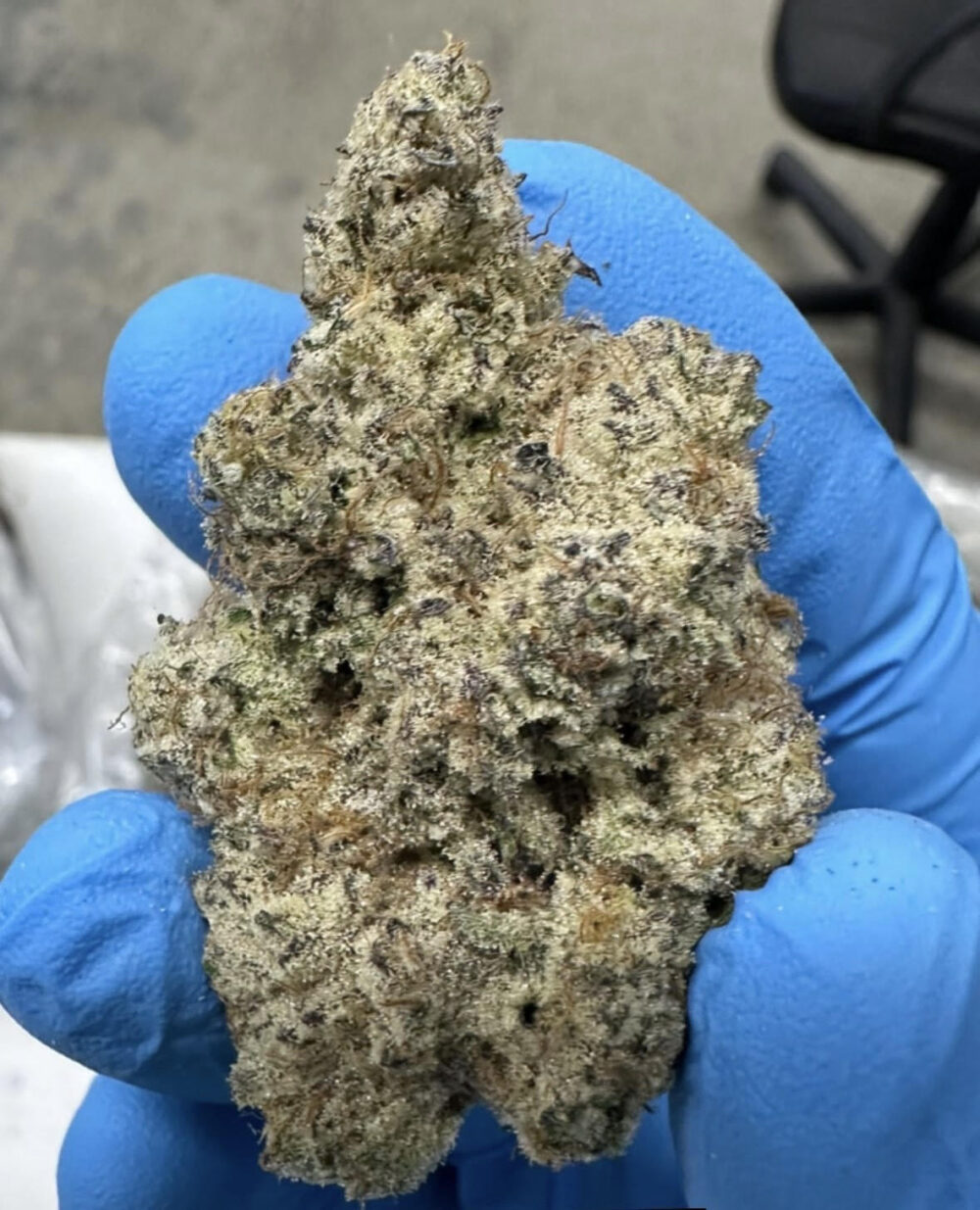 P Funk (Wedding Crasher)